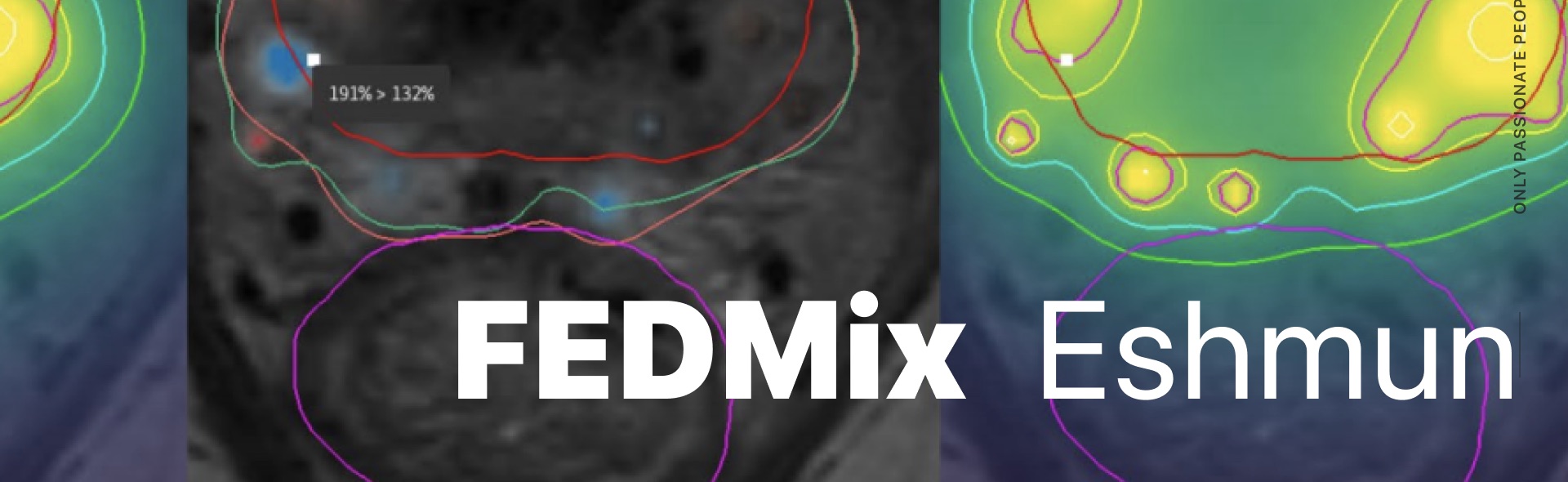 Eshmun desktop viewer interface from the FEDMix README